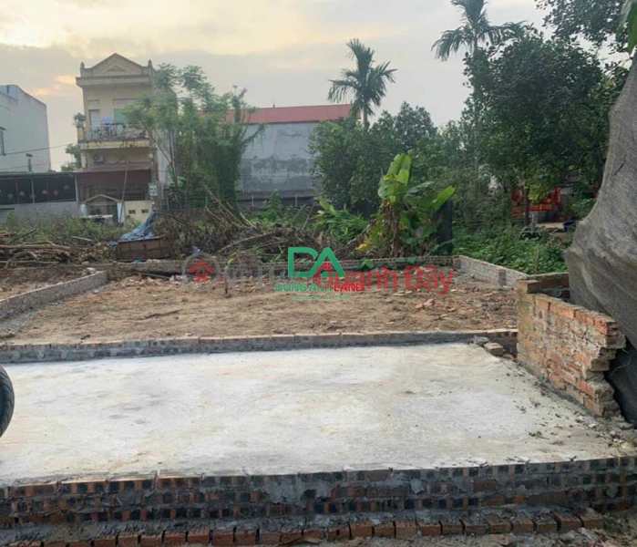 Property Search Vietnam | OneDay | Residential, Sales Listings, Land for sale 40m2 in Nhi Van village, Dong Anh, car road, price 1.3 billion DONGANHLAND