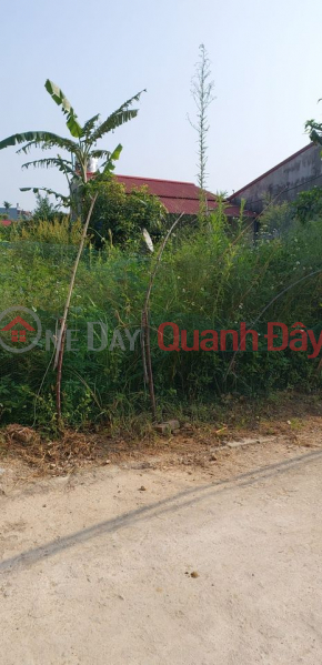 Property Search Vietnam | OneDay | | Niêm yết bán BÁN ĐẤT SÁT TÁI ĐỊNH CƯ MAI PHA - TPLS