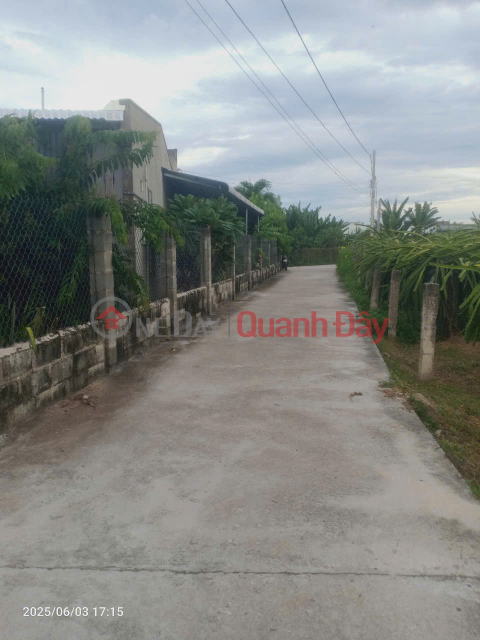 Urgent sale of concrete frontage land in Lam Giao quarter - Ma Lam - Ham Thuan Bac - Lam Dong _0