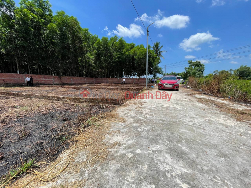 Selling a plot of land near Tuy Loan Market and Thang Long street extending 241m2 for investment price Sales Listings