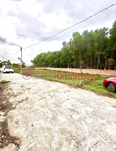 Land for sale in Hoa Phong Hoa Vang commune, parallel to National Highway 14B _0