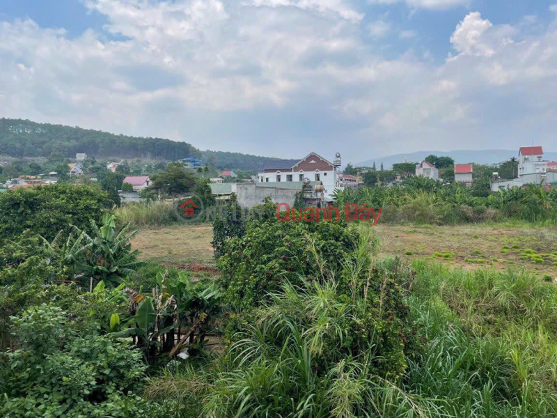 PRIMARY LAND - Selling 5 Land Lots adjacent to asphalt road in Nam Ban town, Lam Dong province | Vietnam, Sales | ₫ 39.8 Billion