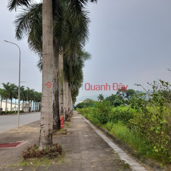 20 thousand meters price is only 4 million\\/m2 of land in Hoa Son-Hoa Binh industrial park Sales Listings