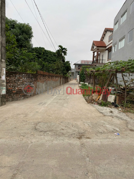 OWNER needs to sell a beautiful piece of land in Phu Huu village, Tien Thang commune, Hanoi, Vietnam | Sales đ 2.2 Billion
