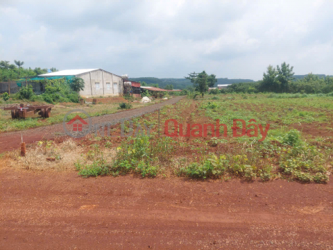 HOT! OWN BEAUTIFUL LAND - GOOD PRICE At Viet Quang Hamlet, Loc Quang Commune, Loc Ninh District, Binh Phuoc _0