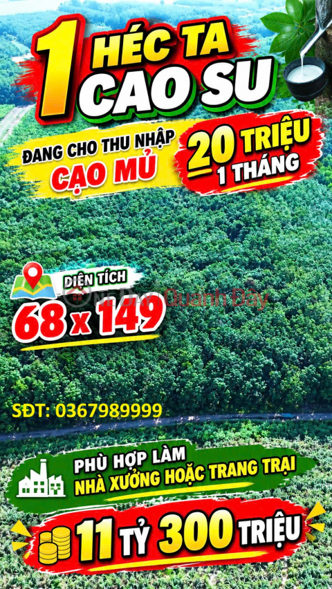 PRIME LAND – GREAT PRICE - URGENT SALE OF A PAIR OF ADJACENT LAND PLOTS NEXT TO THE EXPANDED BAU BANG INDUSTRIAL PARK, Bau Bang, Binh Duong _0