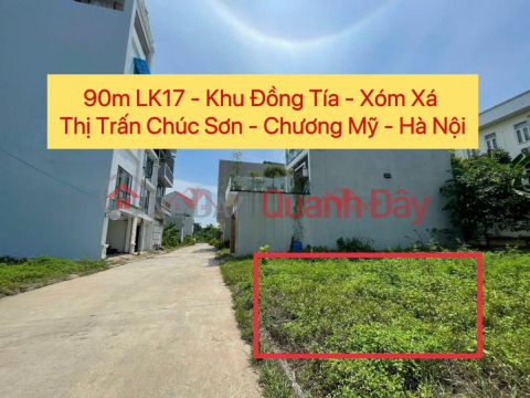 OWNER SELLS 90M2 SERVICE LOT IN DONG TIA-CHUC SON TOWNSHIP-CHUONG MY-HANOI _0