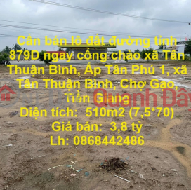 Need to sell land lot on provincial road 879D right at the welcome gate of Tan Thuan Binh commune, Cho Gao, Tien Giang _0