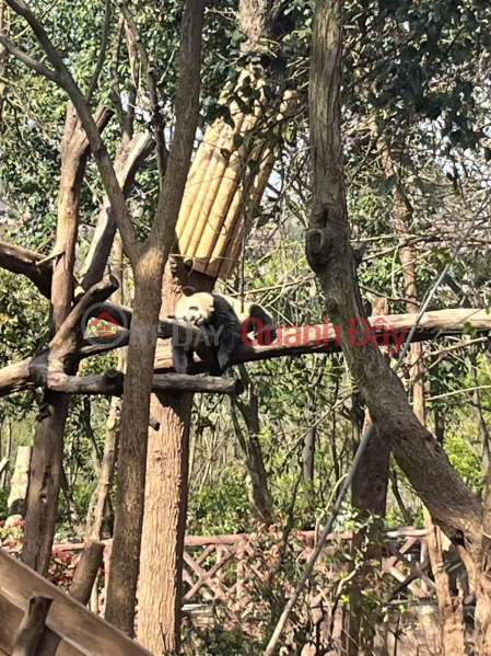 Bán Niêm yết bán (KNMGM-037843818)