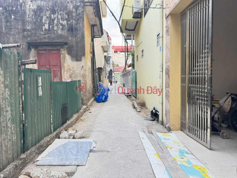 Land for sale in Dai Do village, Vong La, Dong Anh. Three steps to Bac Thang Long Industrial Park Sales Listings