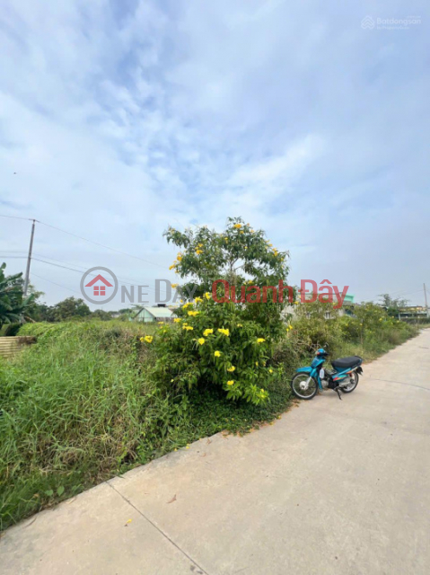 OWNER REDUCING PRICE, URGENT SALE OF BEAUTIFUL LAND IN DUC HOA DONG COMMUNE, NEAR THE EXPANDED ROAD 823D, EXCELLENT PRICE. _0