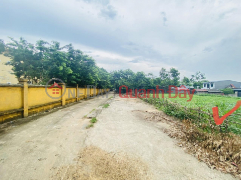 BEAUTIFUL LAND - GOOD PRICE - Land Lot For Sale In Hoang Dan Commune, Tam Duong District, Vinh Phuc Province _0