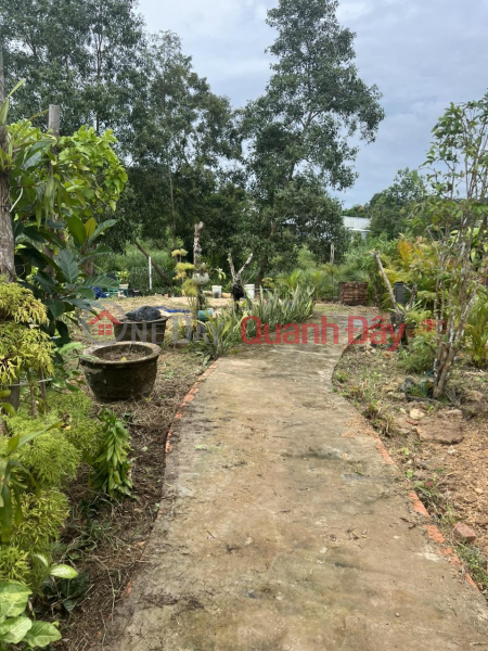 Property Search Vietnam | OneDay | Residential, Sales Listings | The owner needs to quickly sell a beautiful plot of land in Chuong Vich hamlet, Ganh Dau commune, Phu Quoc city, Kien Giang.