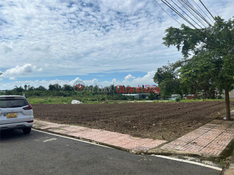 Beautiful Land - Good Price - Owner Needs to Sell a Lot of Land in a Beautiful Location, Frontage DT769 Right at the Gate of Long Thanh Airport, Vietnam | Sales | đ 1 Billion