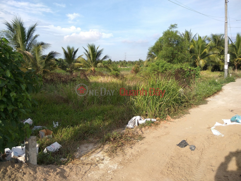 Property Search Vietnam | OneDay | Residential Sales Listings, BEAUTIFUL LAND - GOOD PRICE - For Sale 2 Adjacent Land Lots Prime Location In Chau Thanh - Tien Giang