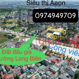 LAND FOR SALE AT LONG BIEN AUCTION IN HANOI CITY, SMALL DIFFERENCE _0