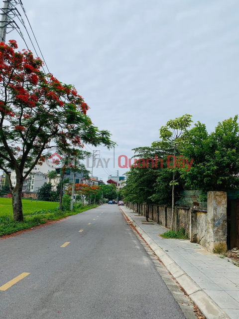 Selling cheap land in Bac Hong, Dong Anh, beautiful area _0