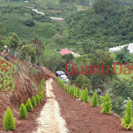 NEED MONEY FOR OWNER TO SELL PIECE OF LAND Beautiful Location In Xuan Son, Da Lat City _0