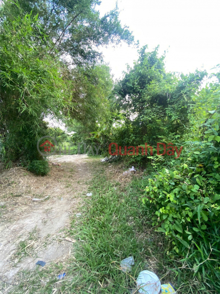 Property Search Vietnam | OneDay | Nhà ở, Niêm yết bán | ĐẦU TƯ SINH LỜI – CHÍNH CHỦ CẦN BÁN ĐẤT Tại Xã Trường Đông, thị xã Hòa Thành, tỉnh Tây Ninh