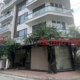 Siêu phẩm 2 mặt tiền Thế Lữ 6 tầng, thang máy, full nội thất, view sông Tam Bạc _0