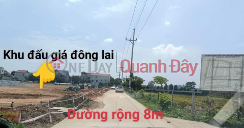 RARE ITEMS IN THE DONG LAI QUANG TIEN AREA DT 97 M MT 732 _0