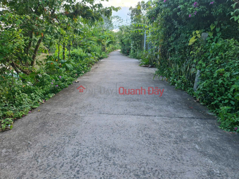 đ 1,3 tỷ, Bán Đất nền Vị trí ngay mặt tiền đường Ngã Bát Bờ Phải, xã Tân Phú Đông, TP.Sa Đéc.