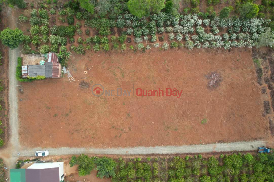 Satellite land plot of Pleiku City priced at 350\\/full residential lot Sales Listings