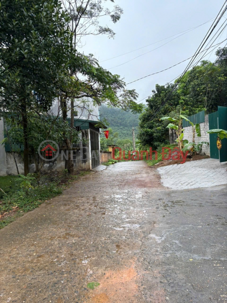 Bán lô đất 230m2 ( 50m2 thổ cư) Thuộc Thôn Hữu Thủ 2 – Kim Long – Tam Dương – Vĩnh Phúc. Niêm yết bán