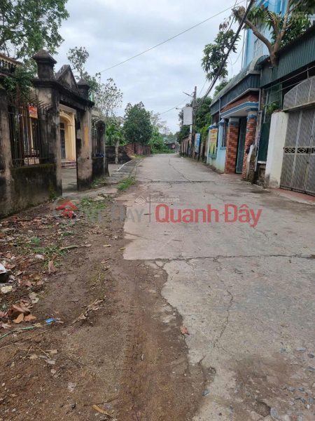 Land for sale in Hoang Dieu commune, Chuong My. Land area 336m2 Sales Listings