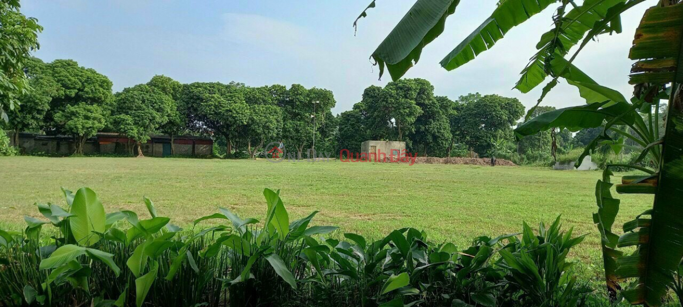 Land for sale right in Ha Dong district and Chuc Son town at investment price Sales Listings