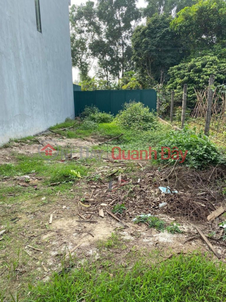 Land for sale in group 15, Dong Anh town, 62m x 5.5m, car avoid traffic, nice square, about 2 billion Contact: 0936123469 Sales Listings