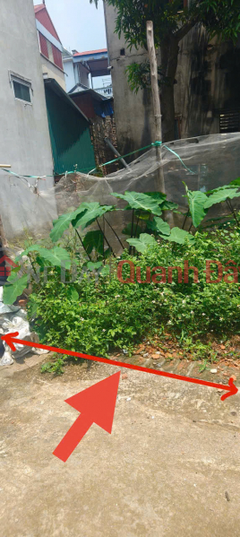 Tin được không? 45m đất Kim Hoa, Mê Linh, full thổ cư, đường rộng, oto đỗ mà giá chỉ 1,95 tỷ | Việt Nam, Bán | đ 9,5 tỷ