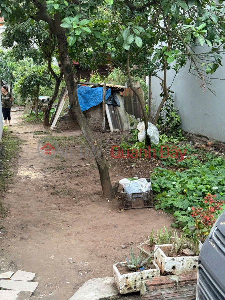 Land for sale in Trang Viet, Me Linh. Full residential land, car parking. Ahead of Thuong Cat bridge project Sales Listings