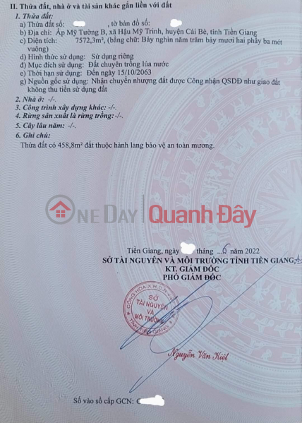 Property Search Vietnam | OneDay | Residential Sales Listings Selling 8 Cong Land – Extremely Cheap Price In Cai Be, Tien Giang