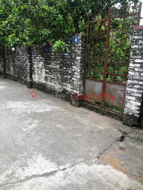 ĐẤT ĐẸP- GIÁ TỐT chính chủ cần bán đất tại thôn Thông Nhất, xã Song Phượng, huyện Đan Phượng, HN _0