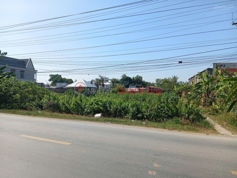 Bán Đất tại Quốc lộ 54, xã Lai Vung (xãTân Thành, Huyện Lai Vung) giá tốt chỉ với 4,1 tỷ Niêm yết bán