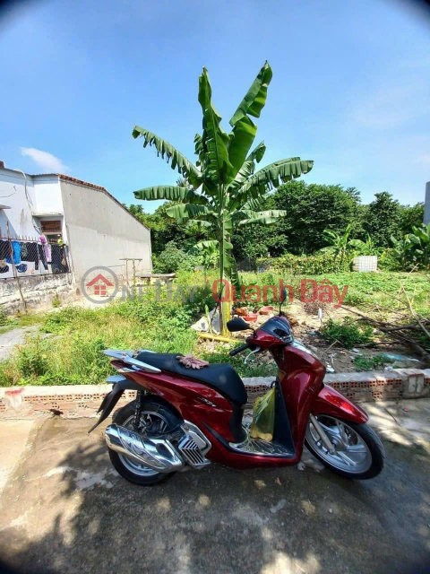 HOT !!! Land for Sale in Chon Thanh Area Near Quang Minh Market, Near Vincom Chon Thanh _0