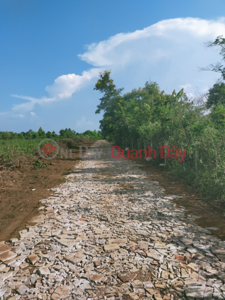 Land for sale in Pleiku at extremely shocking price with official red book Sales Listings