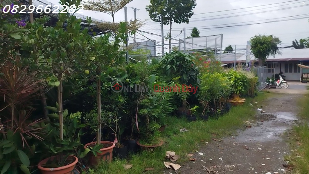 Bán Đất Thổ Cư Mặt Tiền Tỉnh Lộ 848, Tân Quy Đông, Sa Đéc. 320M2, Sổ Hồng, Việt Nam, Bán, đ 4,5 tỷ