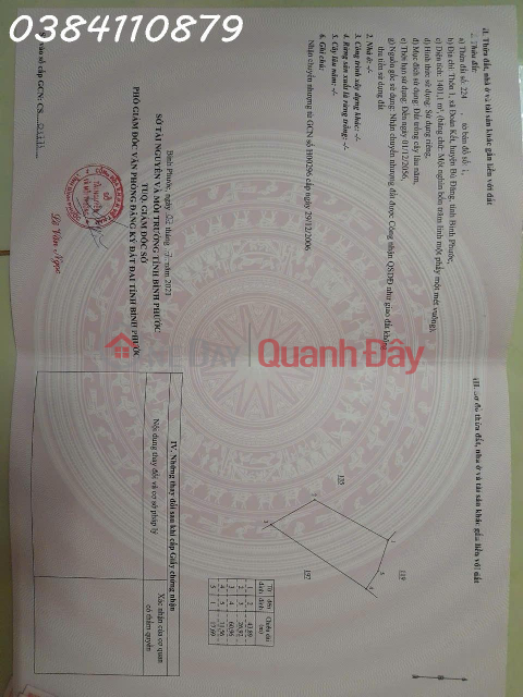 BÁN 9 HÉC CAO SU & ĐIỀU – THỰC TẾ GẦN 10 HÉC – BÙ ĐĂNG, BP, 5,8 TỶ _0