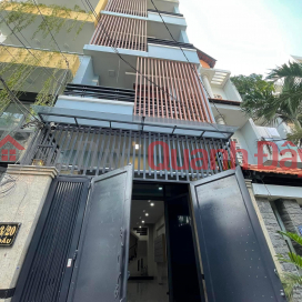 Go Dau Alley, Tan Quy, Tan Phu; 81m2, 4x19, 5 floors, price 11.9 billion _0