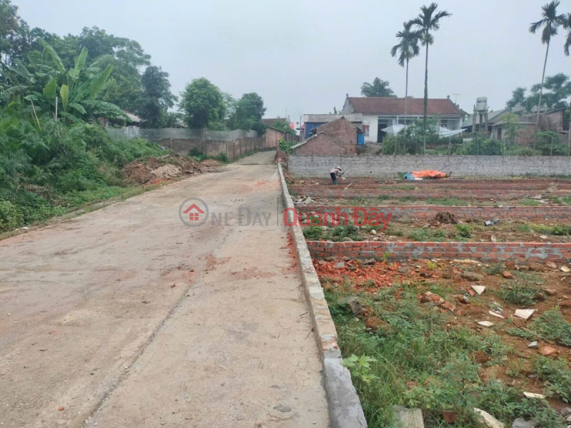 Property Search Vietnam | OneDay | Nhà ở Niêm yết bán, CHÍNH CHỦ BÁN LÔ ĐẤT 86,3M TẠI HOÀNG VĂN THỤ-CHƯƠNG MỸ-HÀ NỘI