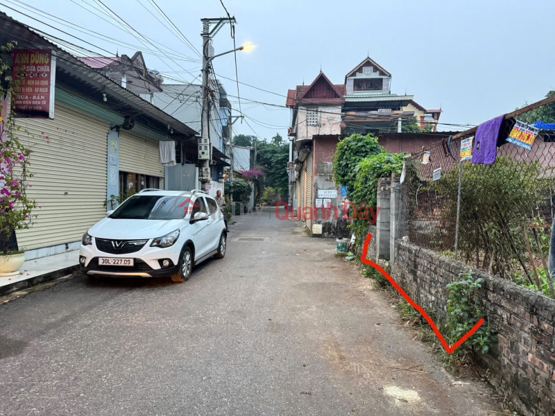 Property Search Vietnam | OneDay | Nhà ở | Niêm yết bán Bán 52m đất tổ 8, Chi Đông, Mê Linh, HN. Đường thông, oto tránh. MT kinh doanh đẹp
