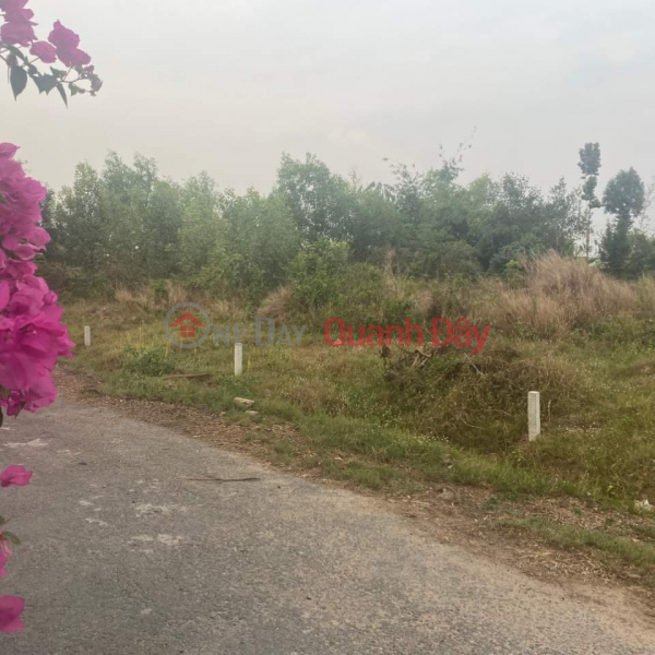 đ 800 Million OWNER SELLS 2 Lots of Land in Phuoc Trach Commune, Go Dau, Tay Ninh