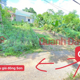 OWNER SELLING 79.8M LOT OF LAND AT DONG SON-CHUONG MY _0