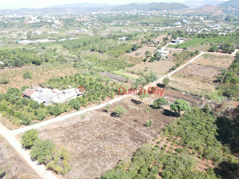 Property Search Vietnam | OneDay | Residential, Sales Listings | Land for sale with red book in Dong Thanh Lam Ha