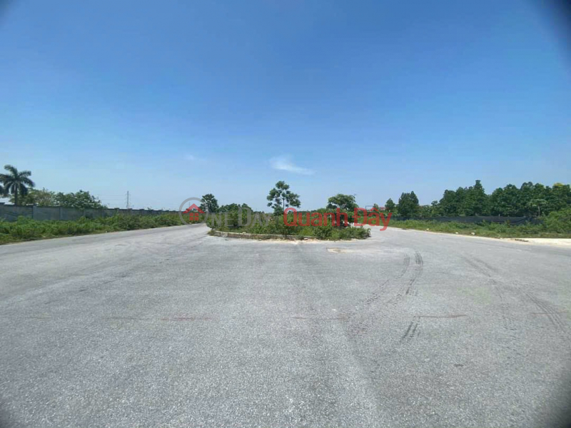 Land for sale in Huong Dinh, Mai Dinh close to Noi Bai industrial park CN2, CN3 with car access to the land for just over 800 million Sales Listings