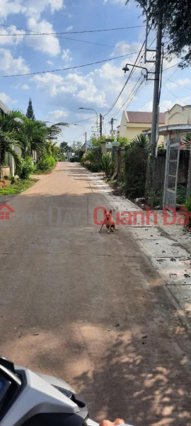 ₫ 460 Million Land plot for sale urgently in Hung Thinh, Trang Bom, Dong Nai
