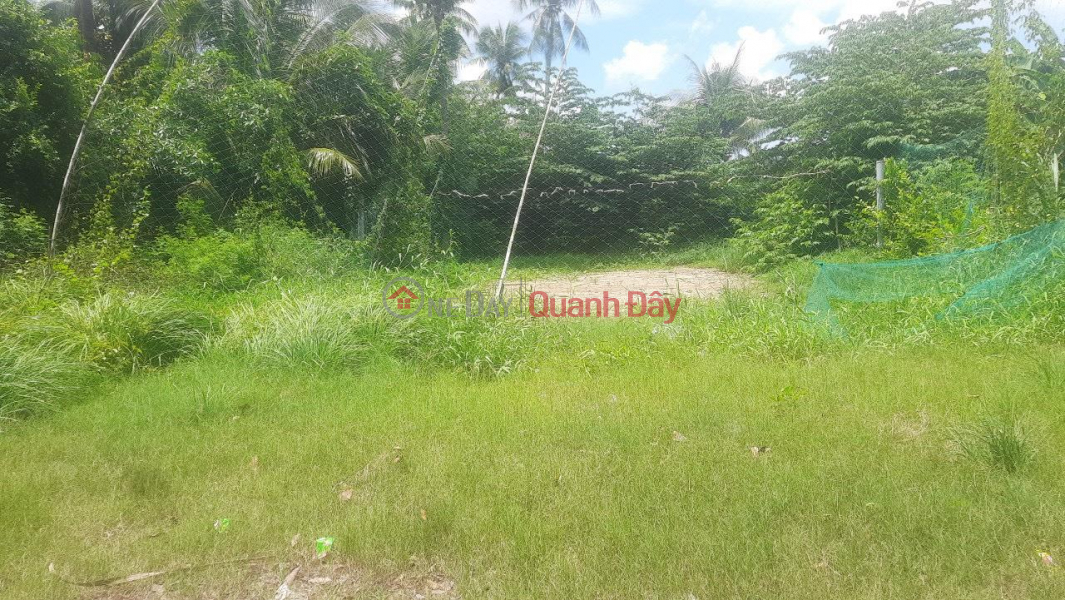 đ 1.8 Billion | BEAUTIFUL LAND - GOOD PRICE - Own Land Lot 2 Fronts Location In Thanh Phu - Ben Tre