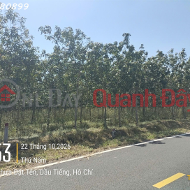 Rare property in Nui Cau Hamlet, DT 744, Dau Tieng, area 262 m2, price 2.7 billion VND. _0
